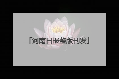 河南日报整版刊发